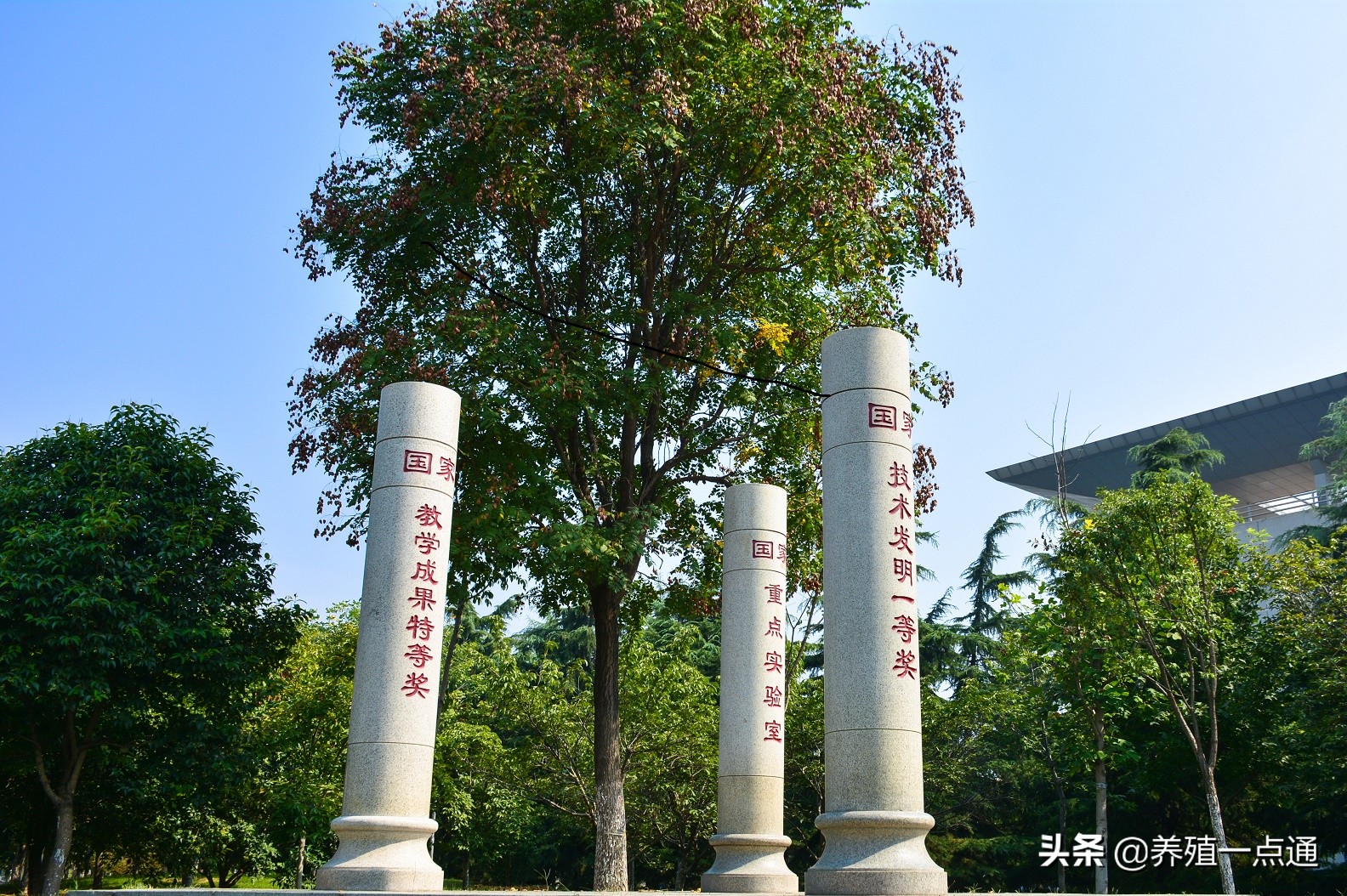 李宁，山东农业大学副教授、硕导，水禽疾病专家