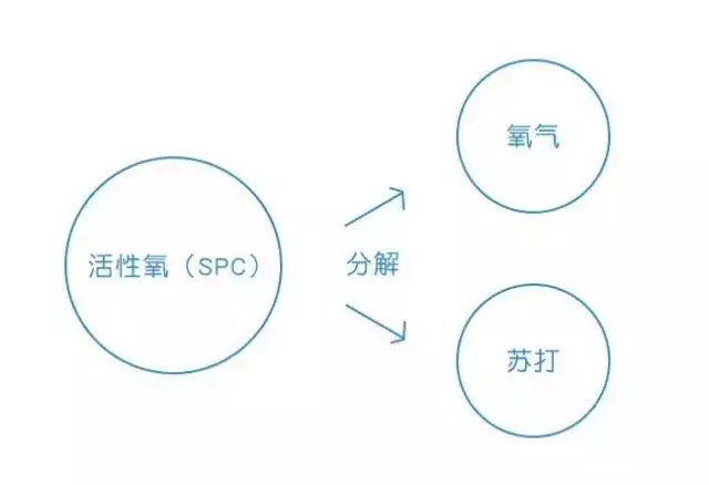 衣服不用洗，一泡就干净！73岁老人研发洗衣神器，颠覆洗衣方式