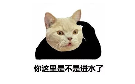 猫咪经常流泪是什么原因引起的？常见的猫咪眼部疾病有哪些？
