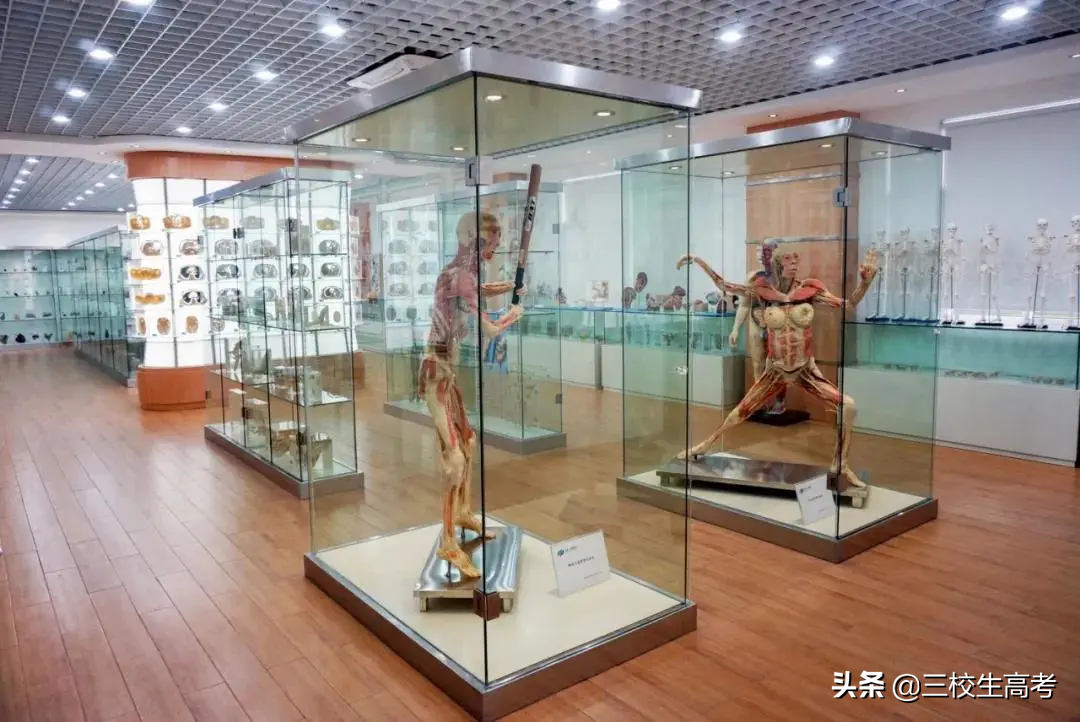 报考上海立达学院专升本，竟然还有免费游学大礼包