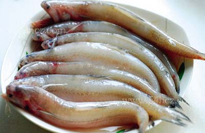 沙丁魚(yú)罐頭,沙丁魚(yú)罐頭的比喻