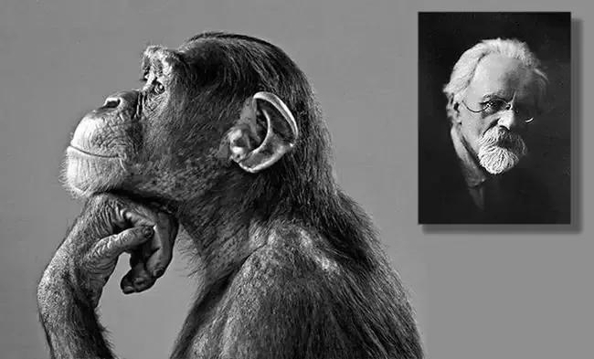 人类数百万年的发展进化之路,到今天为止同属下的其它人种早都已经