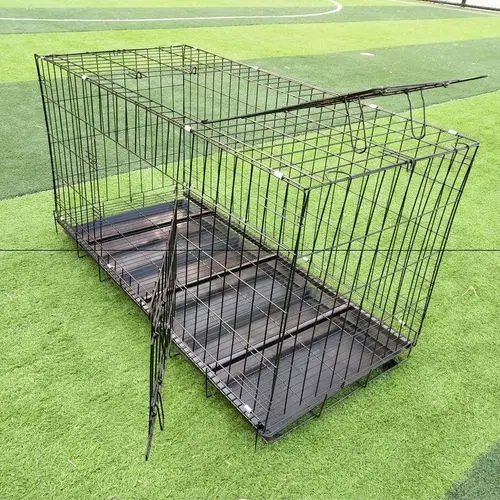“穷养”边牧犬指南