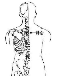三伏常灸，胜吃老参！祛寒湿，通经络，养五脏……