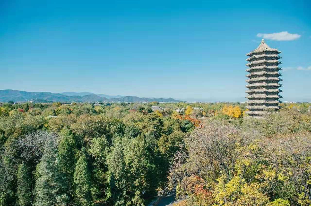 2021年中国大学50强榜单中的全国十大名校名单