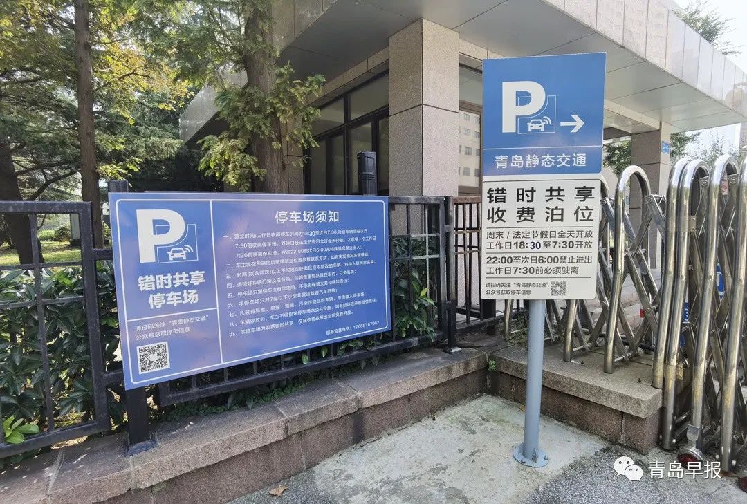 青岛市车辆违章查询,青岛市车辆违章查询官方网站