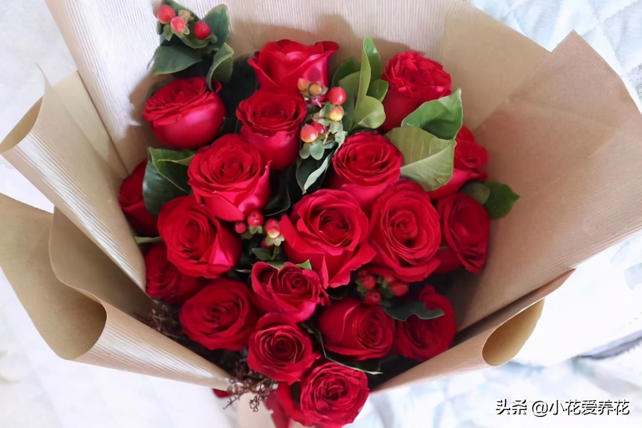 订婚送多少朵玫瑰花比较好（结婚送几朵玫瑰花合适）
