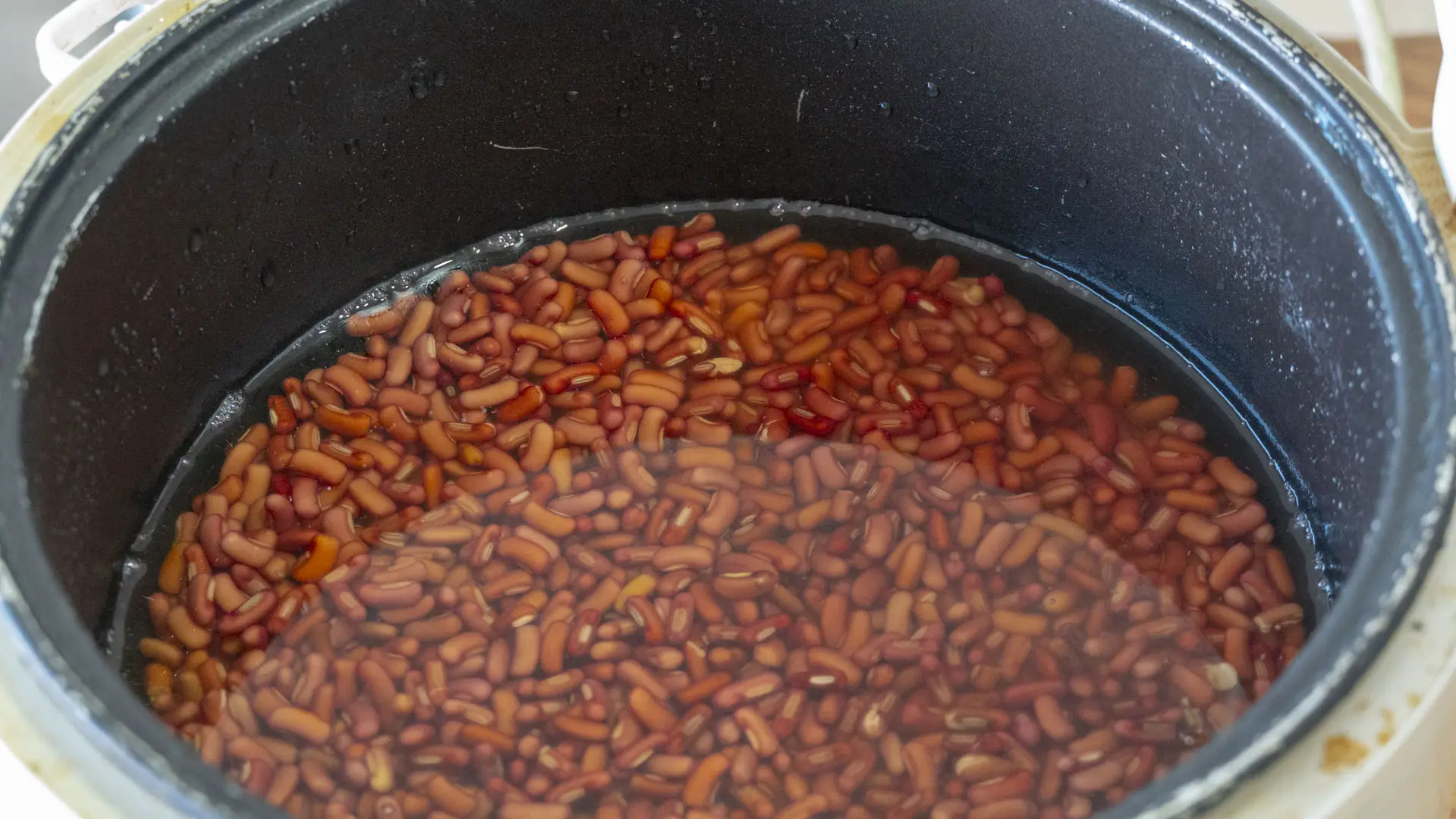 秋冬季养生食谱大全（冬季养生7道美食推荐）