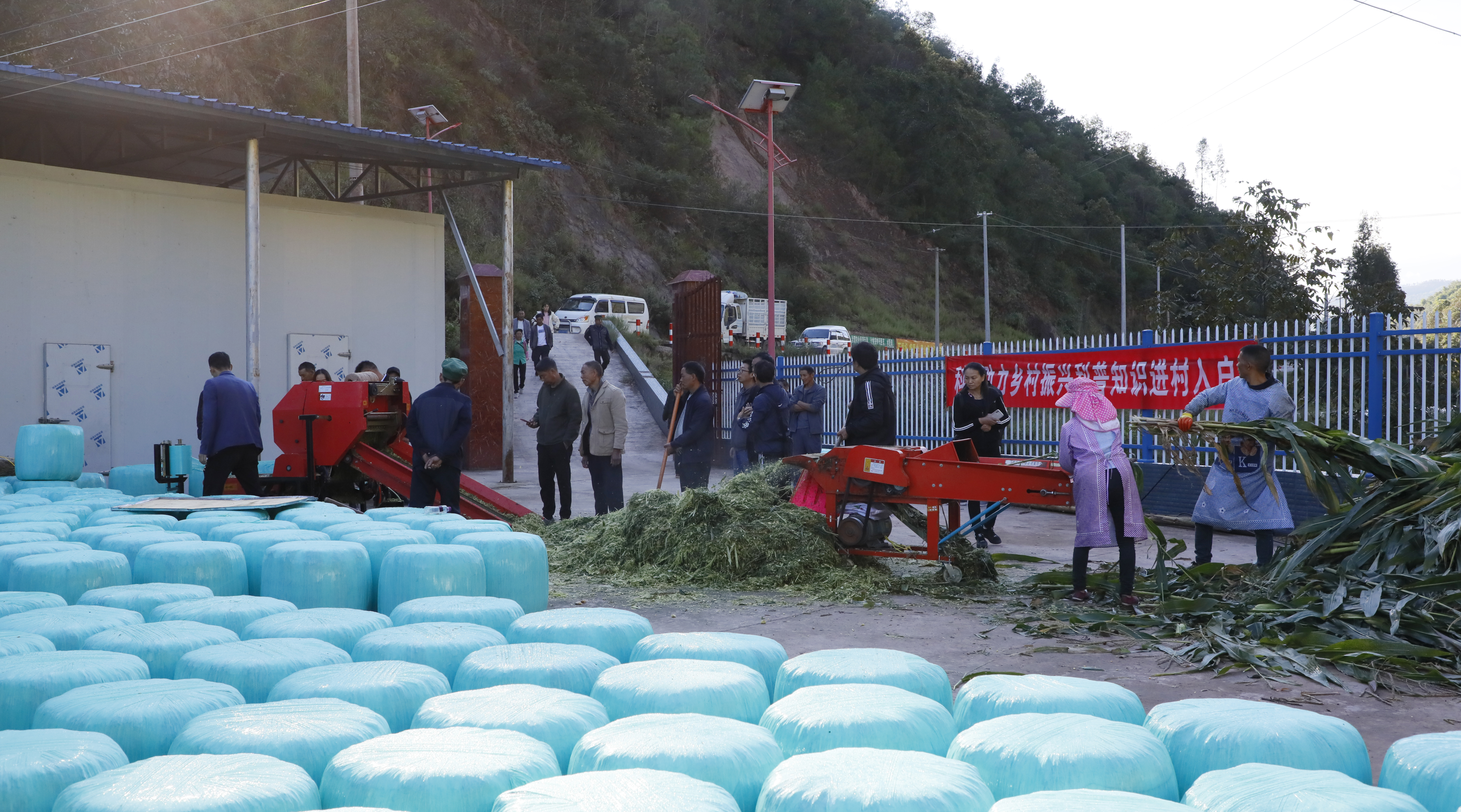 云南姚安：以科技助力乡村振兴 铺就山区群众致富路