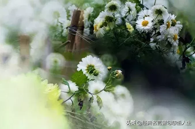人难做,钱难挣,人皮难背!