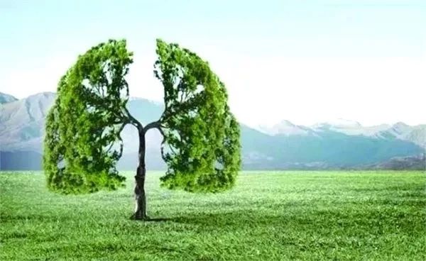 礼待自然 和谐共生——面对疫情的礼仪思考