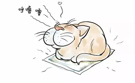 【科观新鲜事】保暖神器——暖宝宝的发热秘籍是什么？