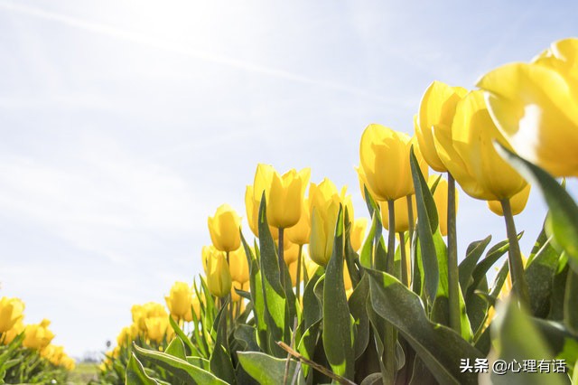 4月，斩断烂桃花，抛下无尽孽缘，3星座放下过往，转身邂逅新欢