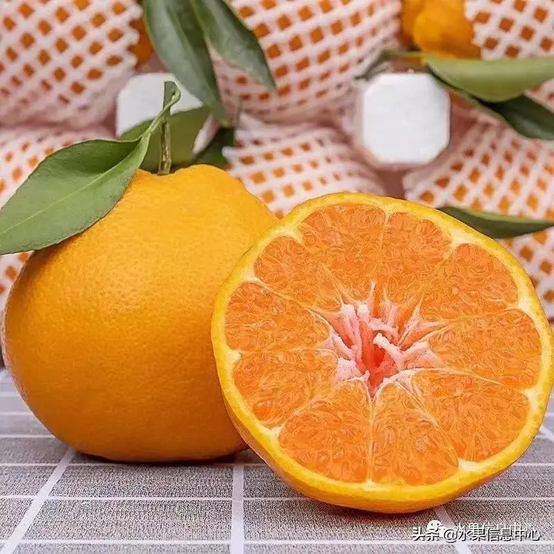 柑橘产地最全图鉴，一份柑橘指南大解析