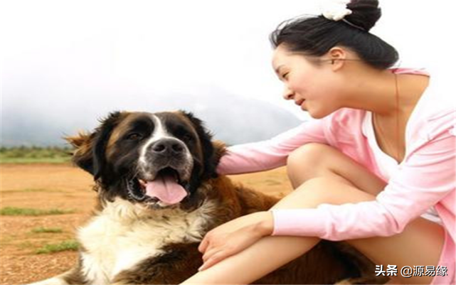 狗是人类忠实的朋友，许多人都喜欢！哪些人却不适合养狗？
