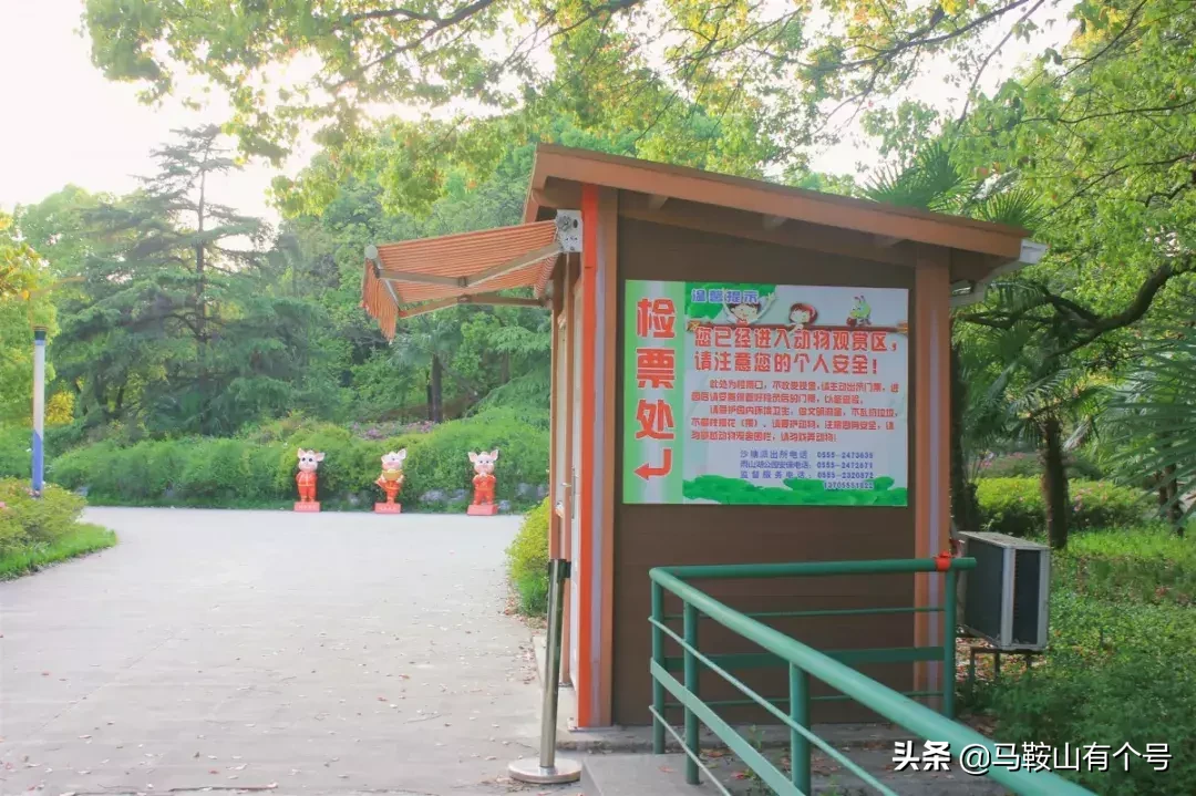 马鞍山人，别忘了动物园！这里曾是我们的全部！