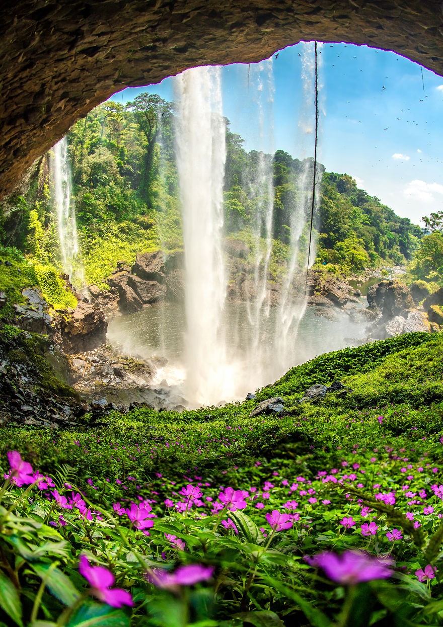 49位摄影师展示了世界各地的春天是什么样子