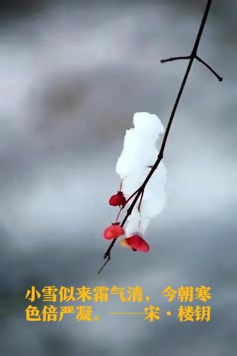 诗词##图片##朋友圈#晨起开门,雪花已落满山头,在凛凛寒意中,拥抱
