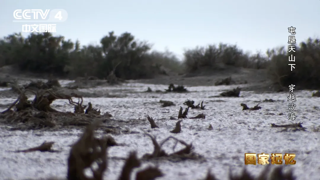 17位老人在宾馆地毯上睡了一夜，他们是谁？