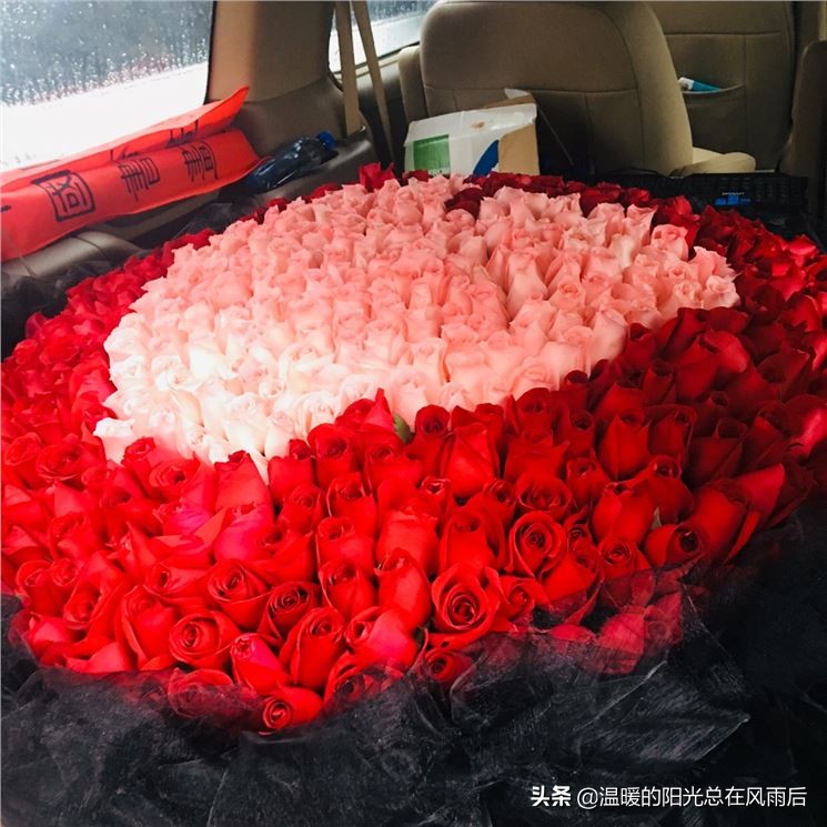 我爱你--520朵玫瑰 表白求婚，不二之选