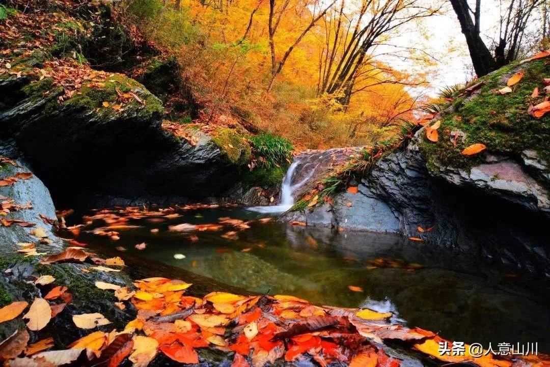 神迹之地,旺苍奇景古城山大峡谷--山水画廊七里峡醉人画意秋光