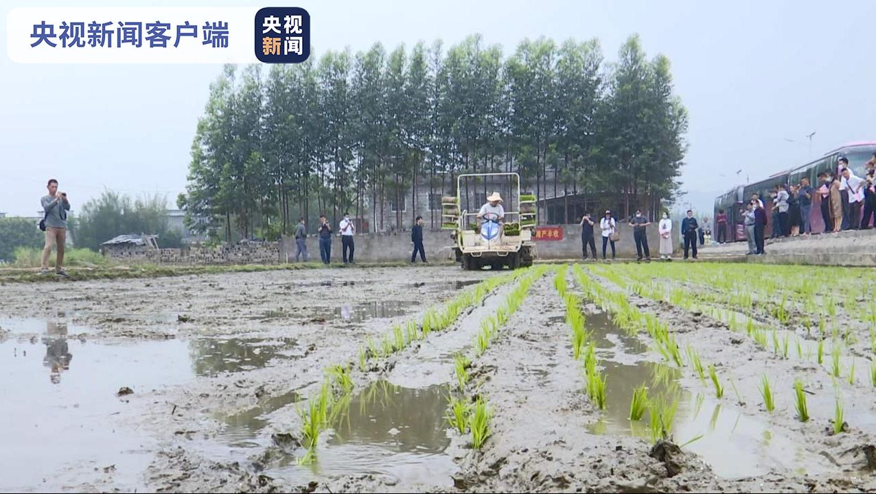 广西贺州：春耕春管农技大行动 聚“智”借“技”助产促增长