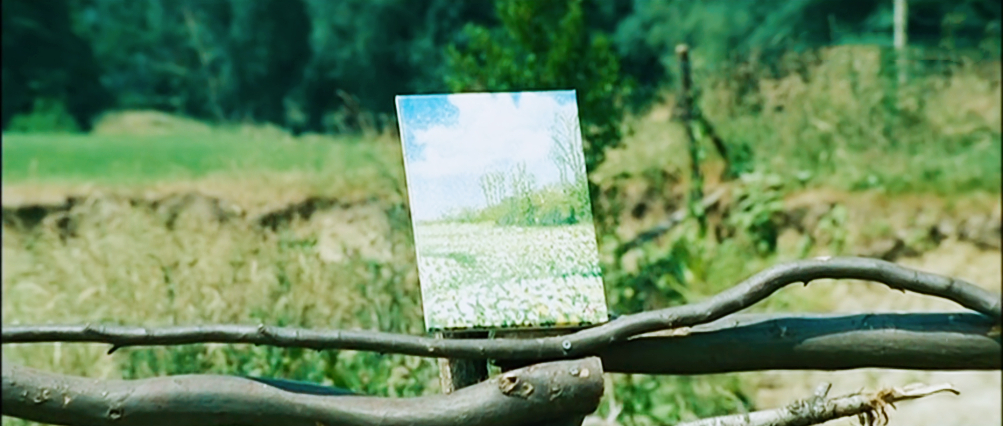 韩国雏菊电影剧情「详细介绍」 _晶羽科技