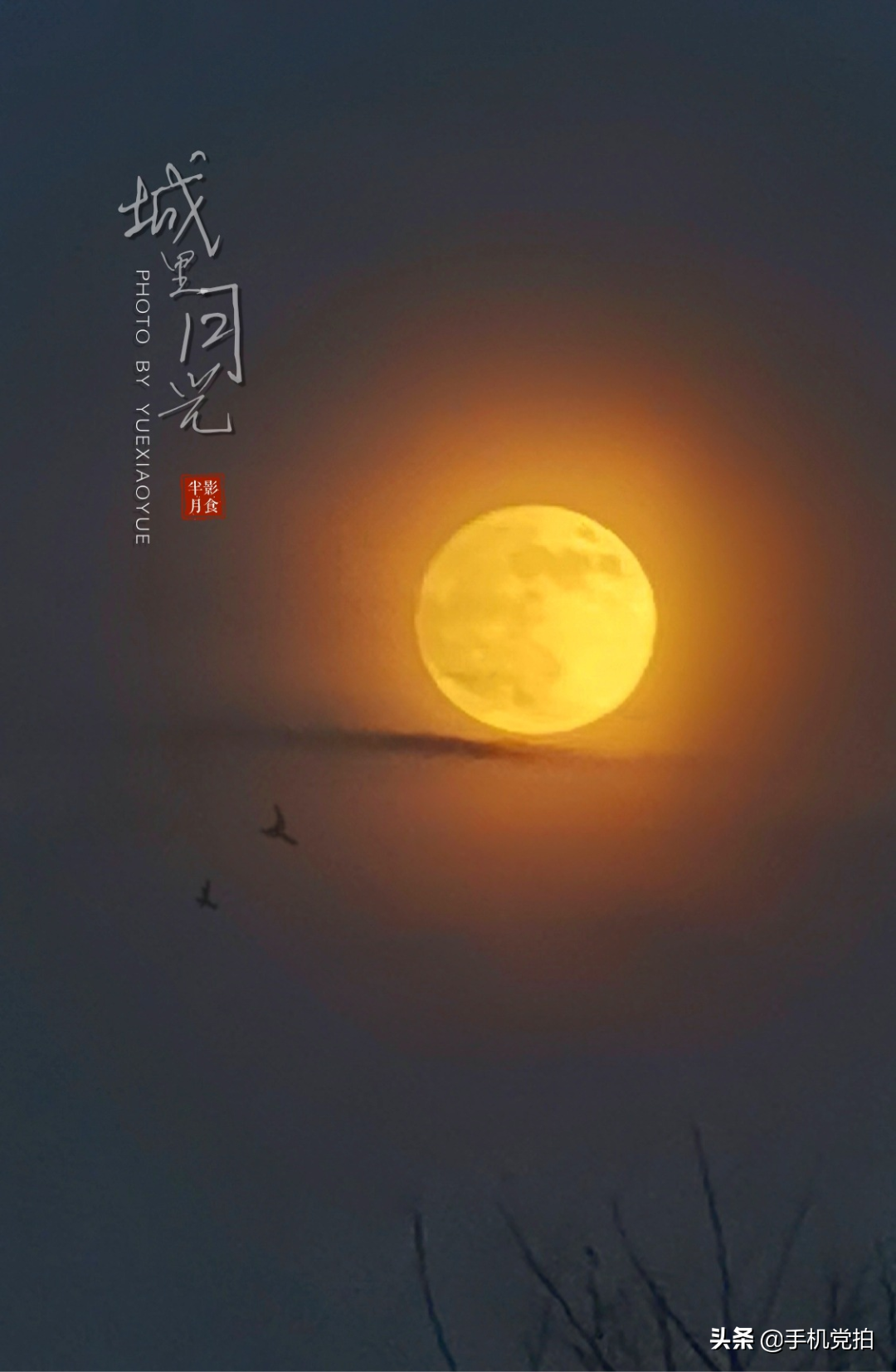 围观2021“血月全食”｜教你“手机拍月亮大全”，更专业