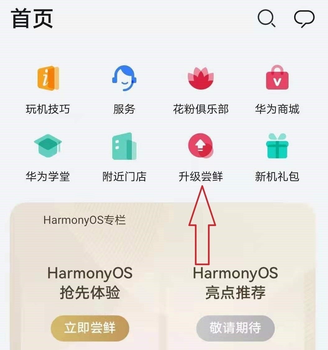 65款华为、荣耀机型可升级鸿蒙系统正式版，网友：这一天终于来了
