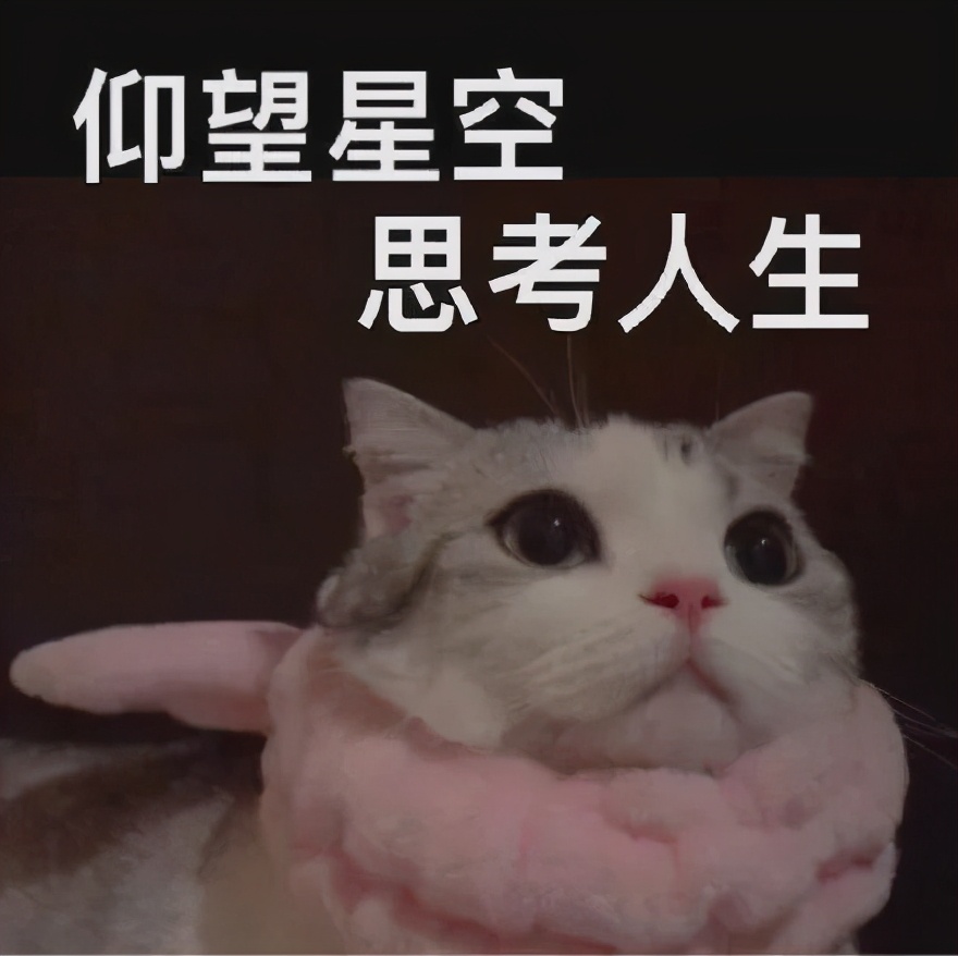 鏡箱豆腐,鏡箱豆腐的做法