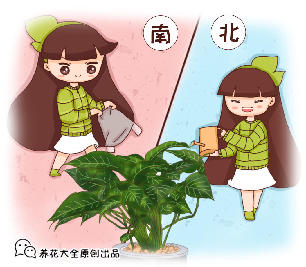 家庭園藝不用買肥料，這幾樣東西再利用，省錢又有效
