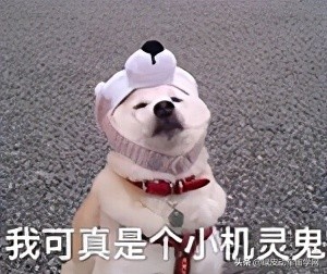 日语培训中心（深度对比）