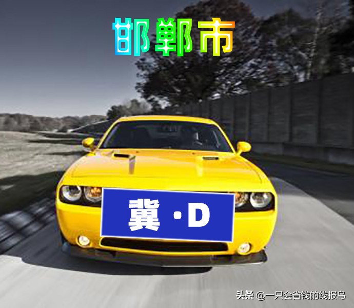 æ²³åŒ—çœ�æ±½è½¦ç‰Œç…§å&shy;—æ¯�æ�’åº�