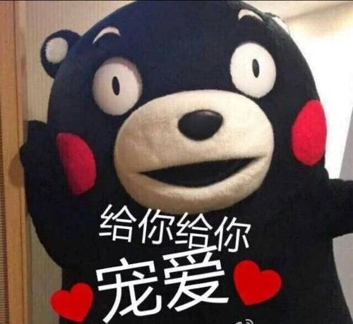 小紅書超級干貨文字教程，手把手教你從零開始運營賬號