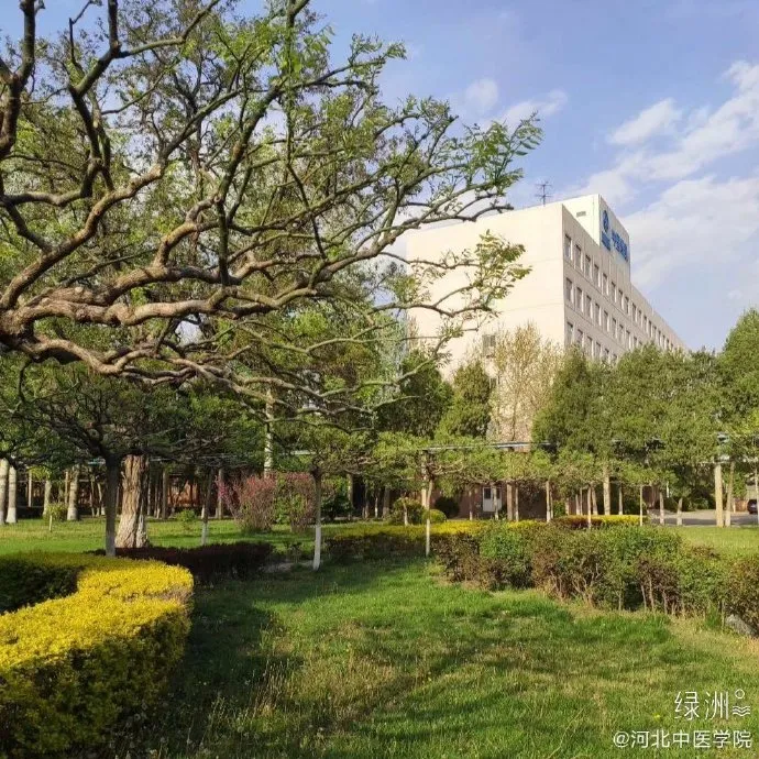 河北中医学院是一所什么样的大学？