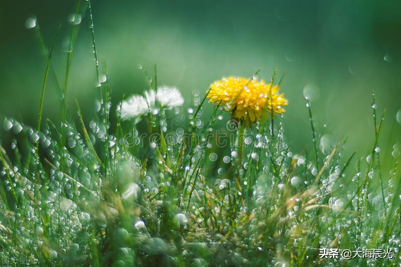 雨天，听雨，赏雨