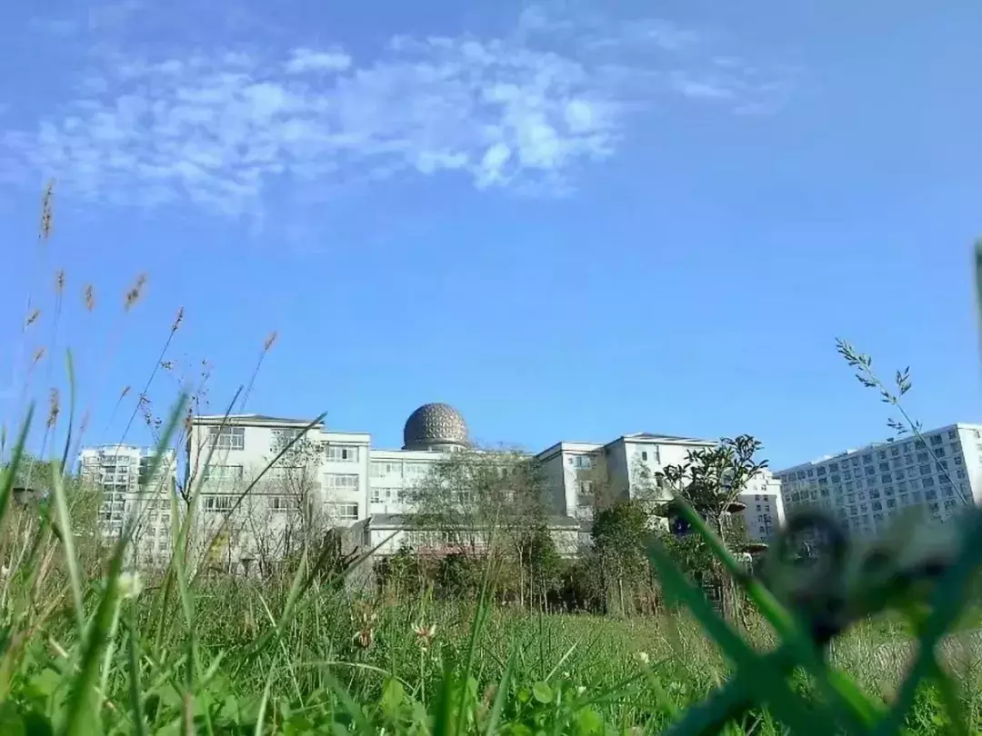 纵使时光流逝 我已不在你的身旁 我的母校市三中