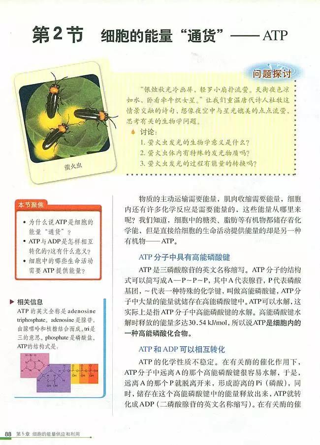 人教版高中生物（必修1）电子课本（高清版）