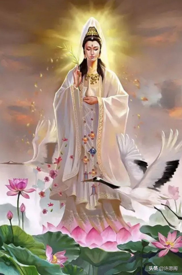 观音菩萨生日是哪一天(观音菩萨生日是农历哪一天)-情感知识库-动动脑