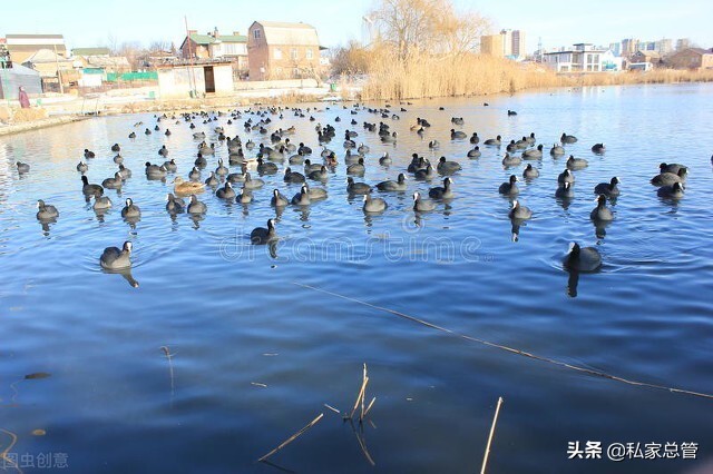 原来真正崩溃是没有声音的