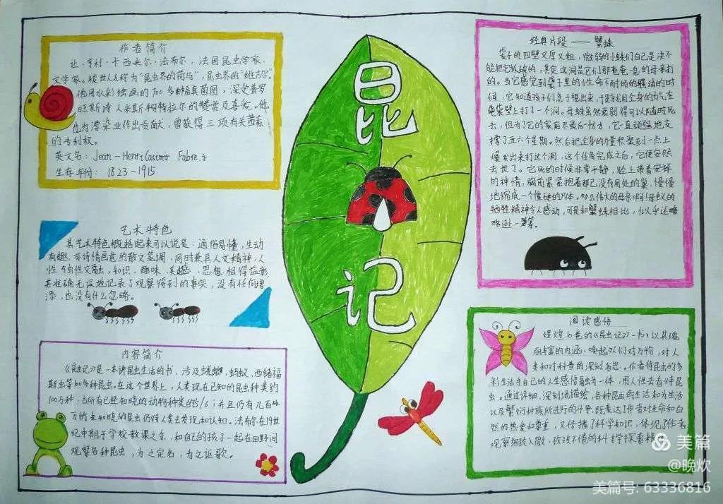 讀書手抄報 - 讀書筆記