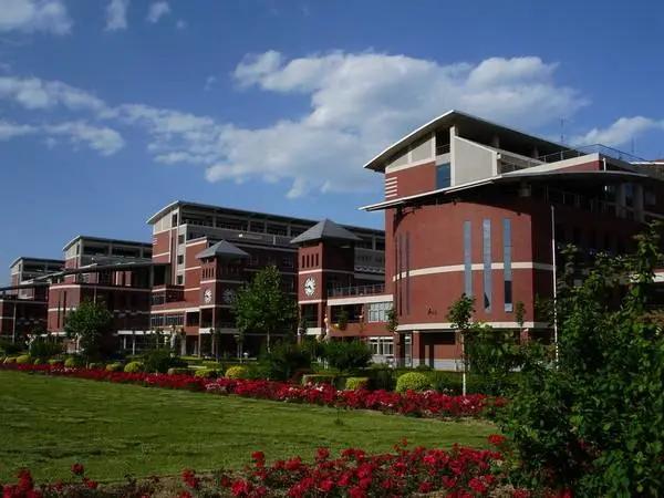 最全艺术名校录取限制条件汇总，千万别等退档时才发现哦