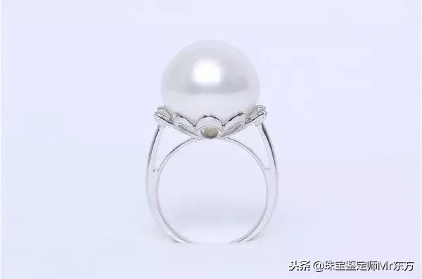“禁欲系”白珍珠|澳洲南洋白珍珠,为什么被称为珍珠之王?