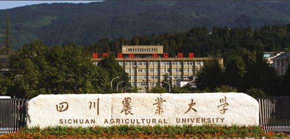 211-四川农业大学
