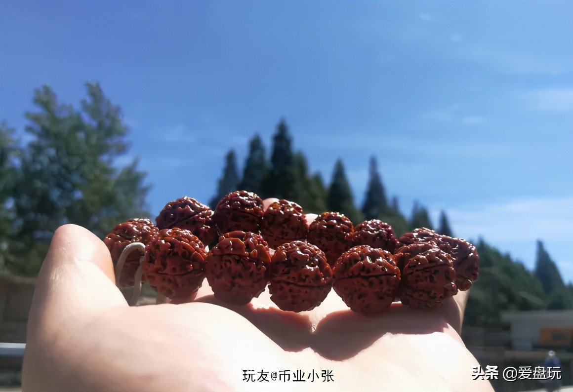 当年花20块钱买的串儿，盘了近9年，身价至少涨了10倍