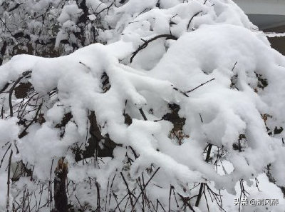 小学生可爱霸道QQ说说