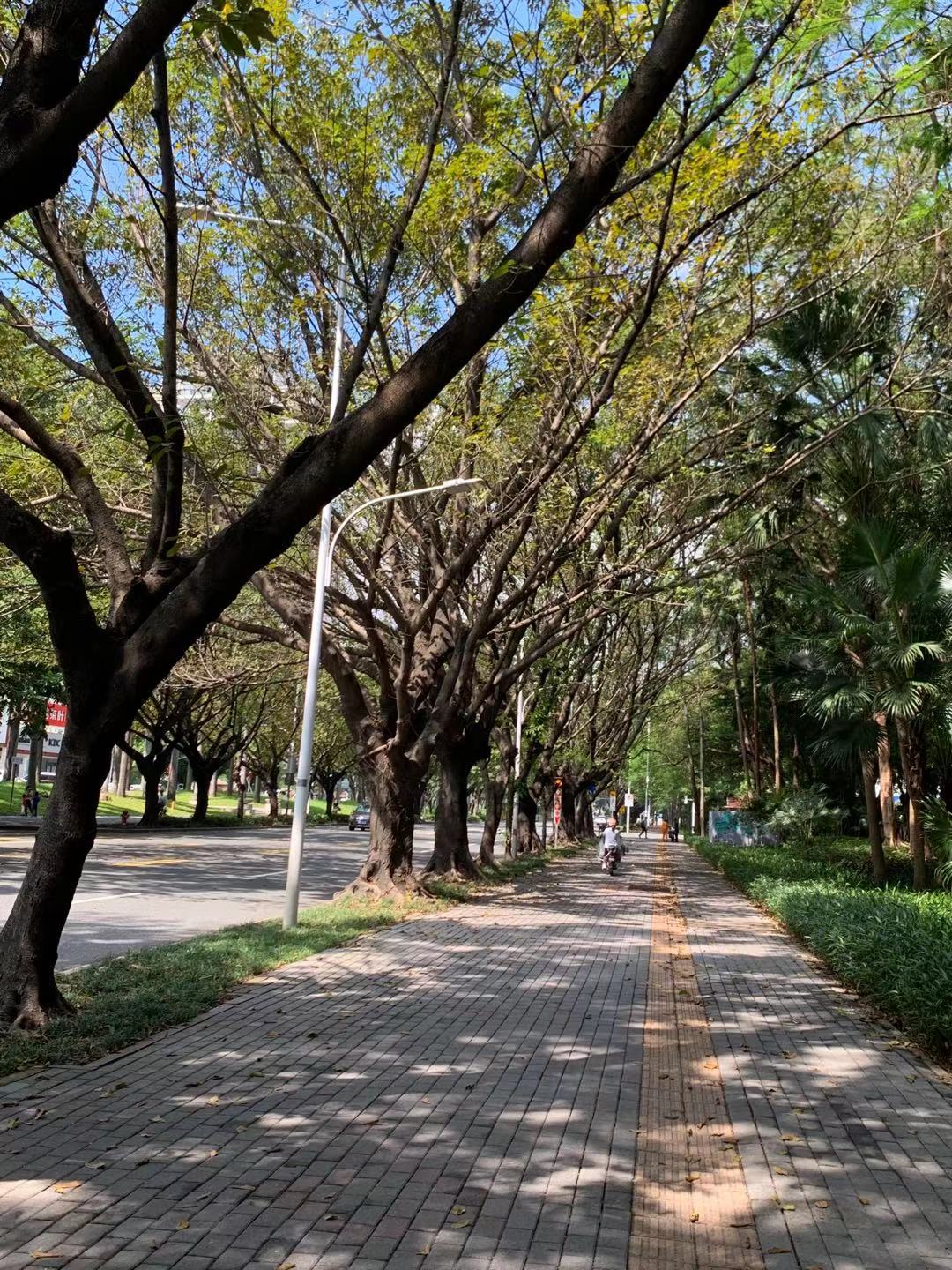 法语培训班（深圳）