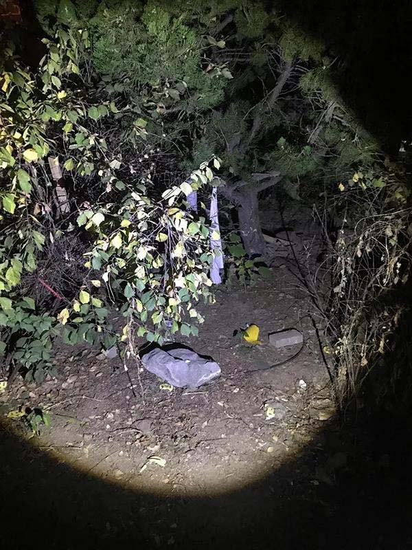 迟来的道歉，能否抚平失去女儿的创伤？128余万元赔偿是否履行？