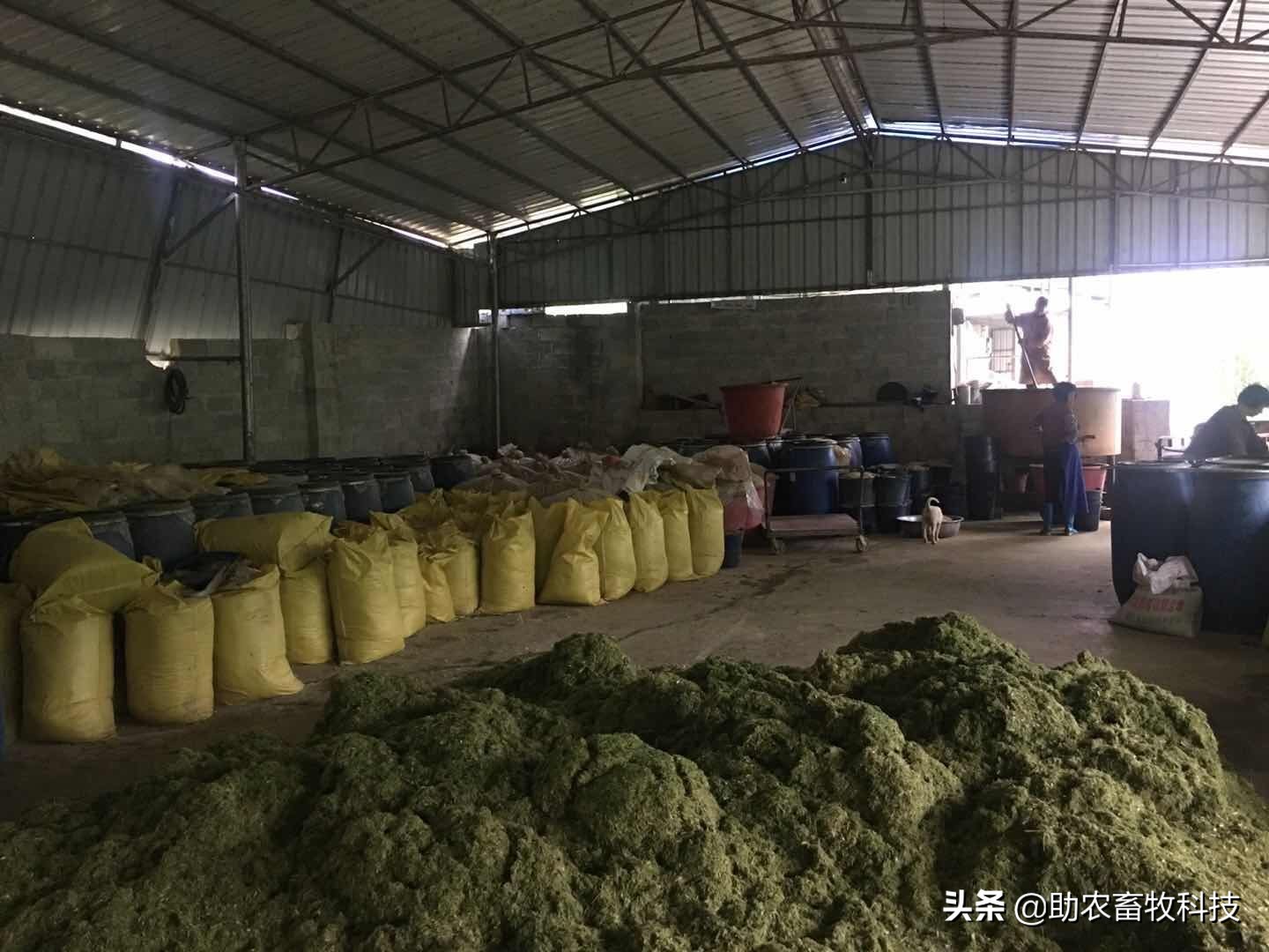 今后只有三种猪场（自有散养猪场）是可以长期保持稳定盈利的