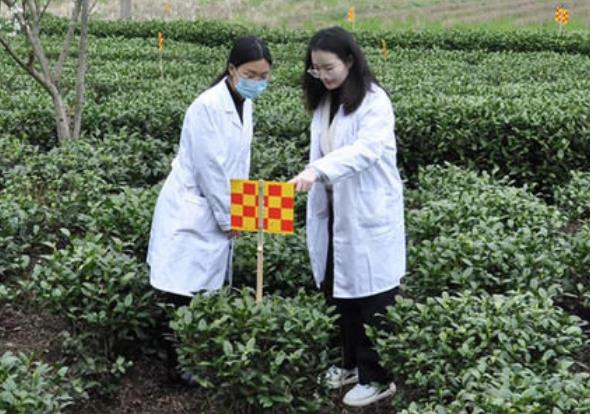 “专科生”算是大学生吗？多数人不清楚，专科生和本科生的区别